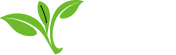 Refresh Tea